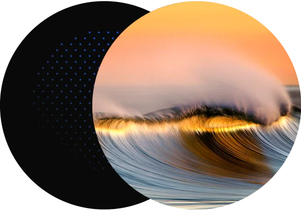 Profisea About us Image Who are we?