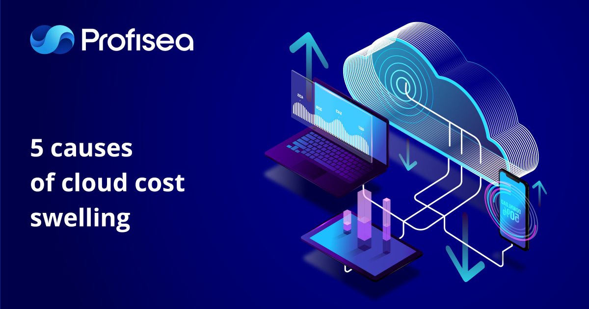 5 Causes of Cloud Cost swelling - Profisea