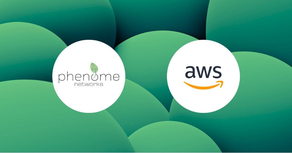 Profisea and Phenome Networks: Enhancing Business with AWS Infrastructure as Code