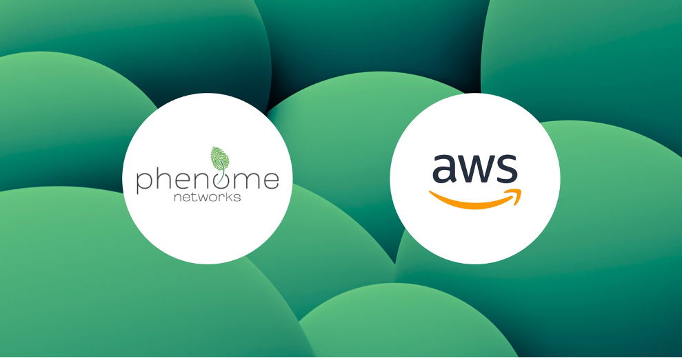 Profisea and Phenome Networks: Enhancing Business with AWS Infrastructure as Code Profisea and Phenome Networks: Enhancing Business with AWS Infrastructure as Code